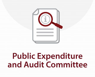 Public Expenditure and Audit Committee