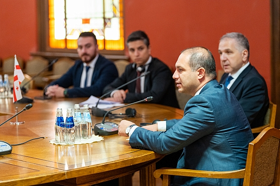 Saeimas deputāti tiekas ar tiekas ar Gruzijas parlamenta Izglītības un zinātnes komisijas priekšsēdētāju un delegācijas pārstāvjiem