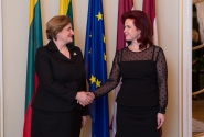 Solvita Āboltiņa meets with Lithuanian Speaker